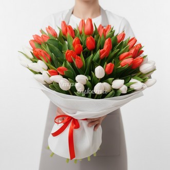 101 красный и белый тюльпан в сетке