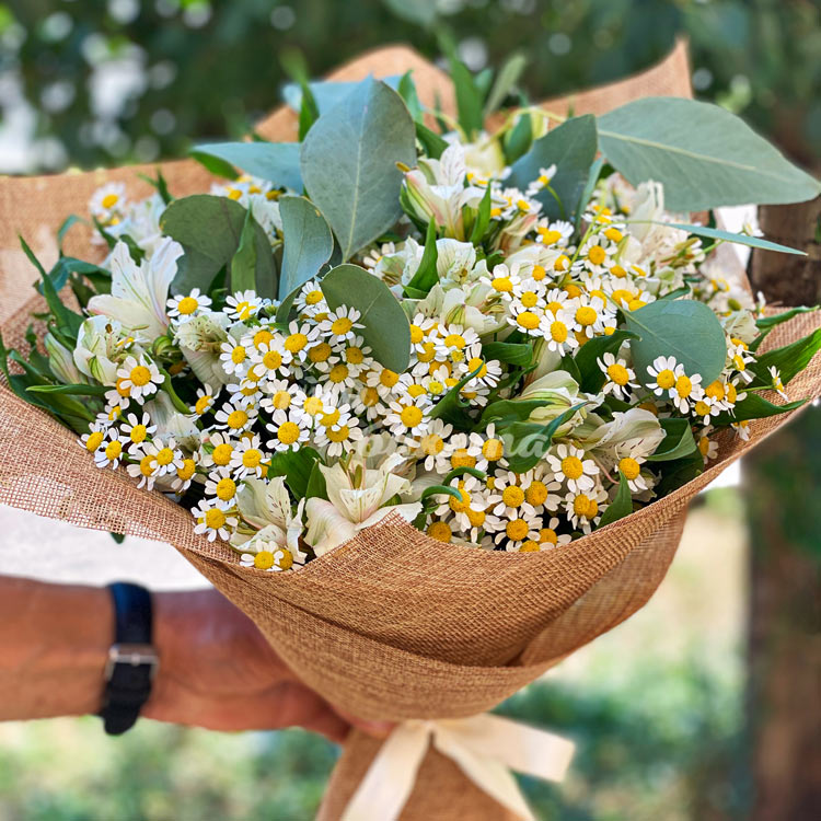 Букет из ромашек и альстромерий (крупный план)