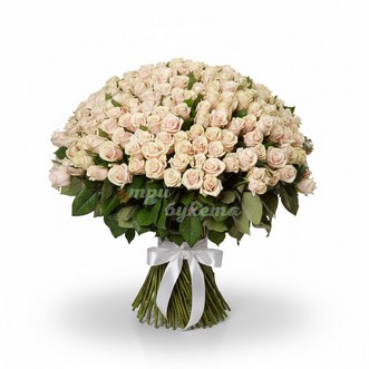 Букет из 201 кремовой розы