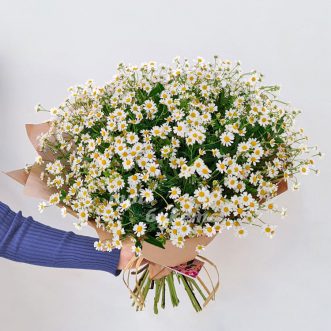 Букет из 15 ромашек
