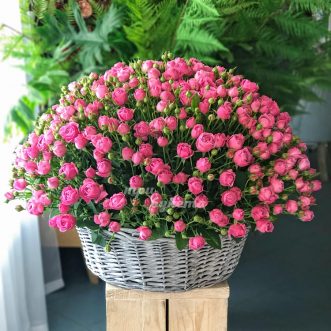 Корзина со 101 розой Мисти Баблс