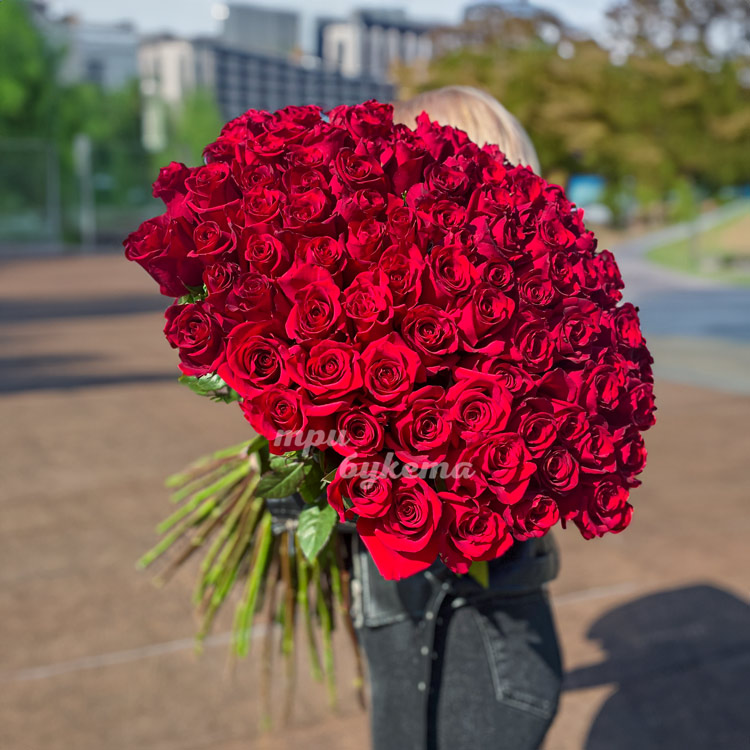 Букет из 101 красной метровой розы (на фоне города)
