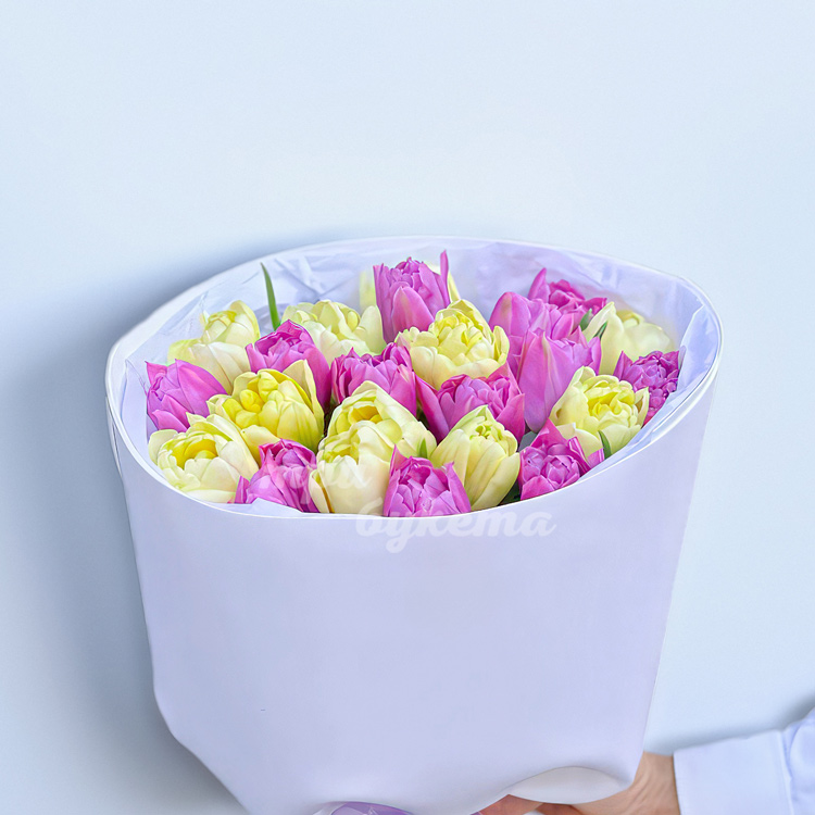 Букет из 23 розовых и белых тюльпанов (крупный план)