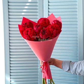 Букет из 7 пионов сорта Ред Шарм