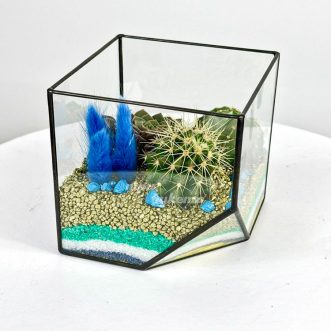 Флорариум с кактусами, суккулентом и лагурусом